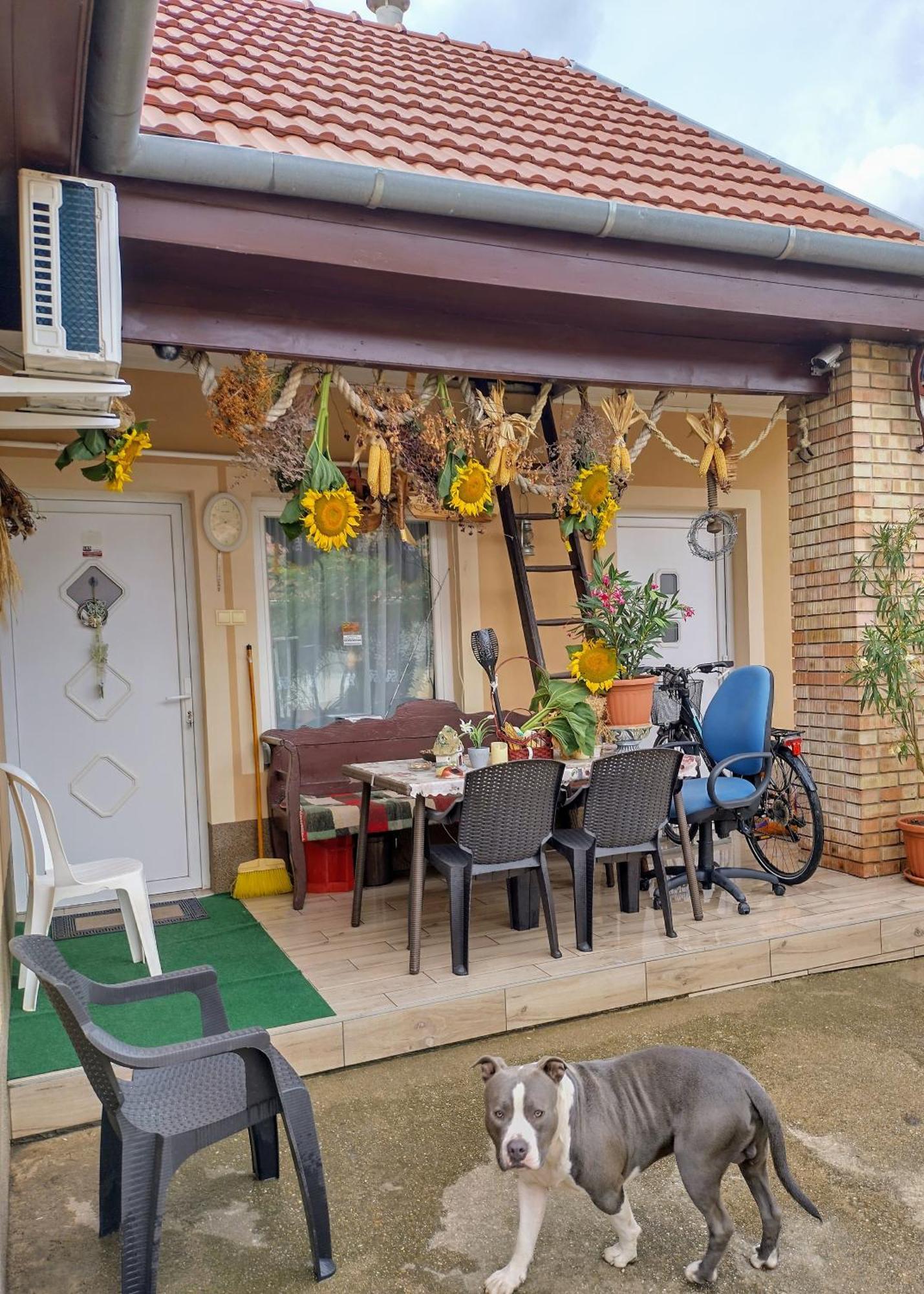 Bundik Vendégház Berettyóújfalu Esterno foto